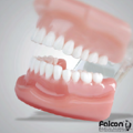 Falcon - Teaching aids - ZOOM - prima pagina a catalogului